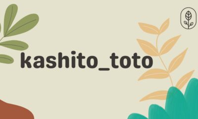 kashito_toto