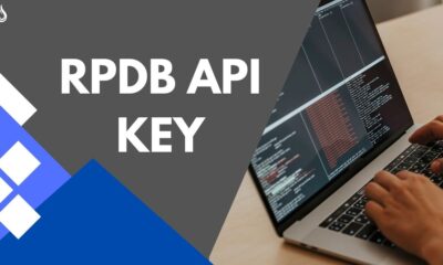 rpdb api key