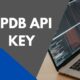 rpdb api key