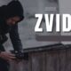 zvideo